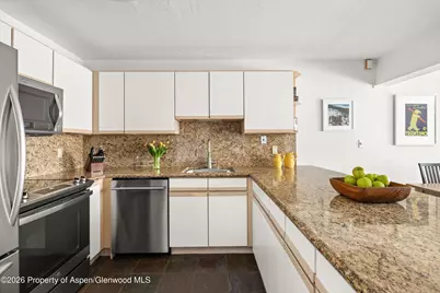 555 E Durant Avenue #2c, Aspen, CO 81611 - Photo 8