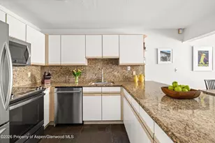 555 E Durant Ave, Aspen, CO 81611 - Photo 8