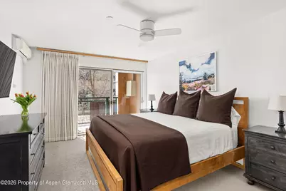 555 E Durant Avenue #2c, Aspen, CO 81611 - Photo 10