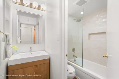 907 Vine Street, Aspen, CO 81611 - Photo 14