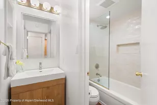 907 Vine St, Aspen, CO 81611 - Photo 14
