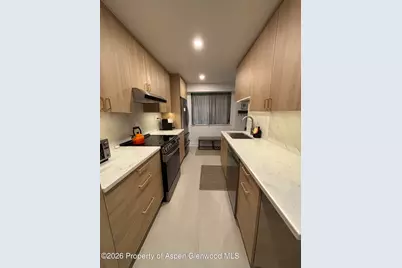 907 Vine Street, Aspen, CO 81611 - Photo 4