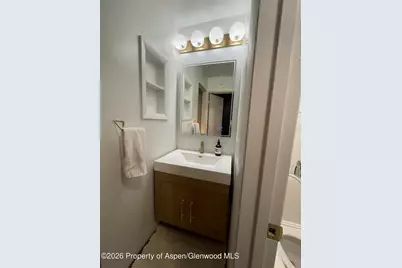 907 Vine Street, Aspen, CO 81611 - Photo 12