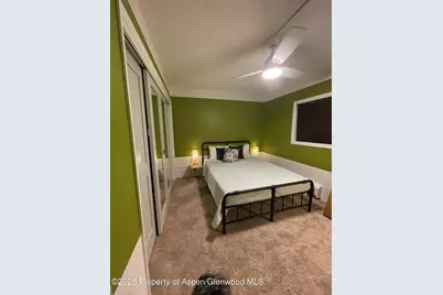 907 Vine Street, Aspen, CO 81611 - Photo 16