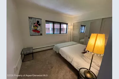 907 Vine Street, Aspen, CO 81611 - Photo 10