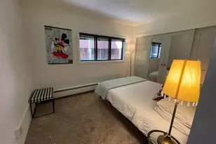 907 Vine St, Aspen, CO 81611 - Photo 10