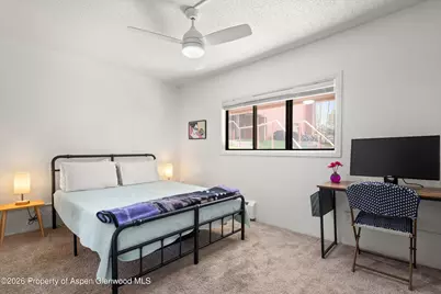 907 Vine Street, Aspen, CO 81611 - Photo 12