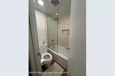 907 Vine Street, Aspen, CO 81611 - Photo 14