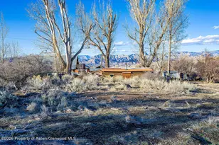 49131 I E Rd, Mesa, CO 81643 - Photo 8