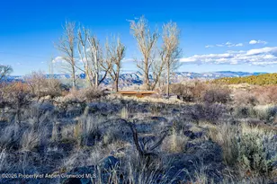 49131 I E Rd, Mesa, CO 81643 - Photo 12