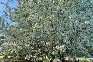 1040 Bryan Way, Craig, CO 81625 - Photo 54