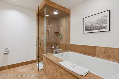 415 E Dean St, Unit 36, Wks 11 & 12, Aspen, CO 81611 - Photo 28