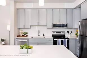 253 Wulfsohn Rd, Glenwood Springs, CO 81601 - Photo 14