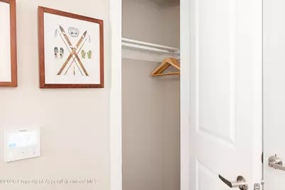 253 Wulfsohn Road #232, Glenwood Springs, CO 81601 - Photo 22