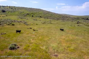 46045 Rock Springs Ln, Hayden, CO 81639 - Photo 30