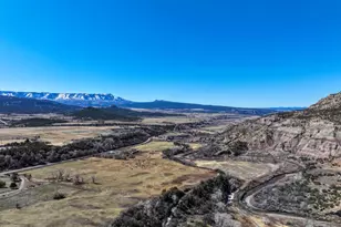 53404 Hwy 330, Collbran, CO 81624 - Photo 40