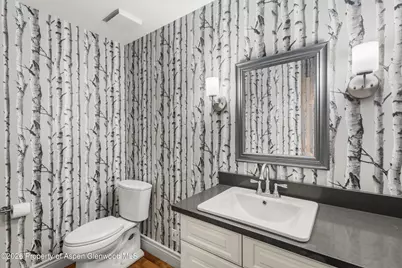 3 Red Wing Lane, Carbondale, CO 81623 - Photo 22