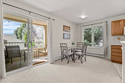 202 12th Street #201, Carbondale, CO 81623 - Photo 10