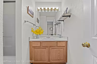 202 12th Street #201, Carbondale, CO 81623 - Photo 18