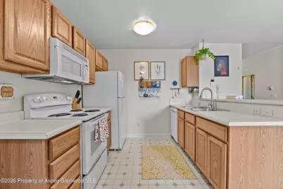 202 12th Street #201, Carbondale, CO 81623 - Photo 8