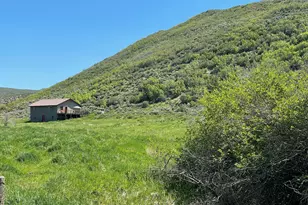 9200 Co Rd 113, Carbondale, CO 81623 - Photo 10
