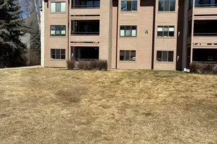 422 Vine St, Aspen, CO 81611 - Photo 1