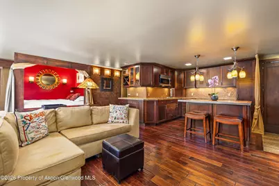 935 E Hopkins Avenue #4, Aspen, CO 81611 - Photo 2