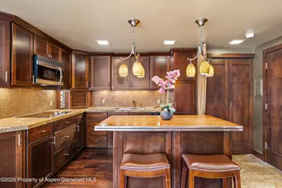 935 E Hopkins Avenue #4, Aspen, CO 81611 - Photo 4