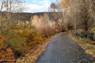 712 Lakeside Dr, Basalt, CO 81621 - Photo 18