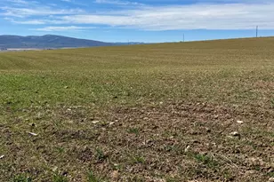 1678 Co Rd 39, Meeker, CO 81641 - Photo 36