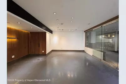 520 E Cooper Avenue #Ll1 & Ll4, Aspen, CO 81611 - Photo 4