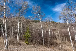 221 Aspen Way, Glenwood Springs, CO 81601 - Photo 46