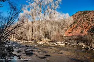 397 Oak Rd, Basalt, CO 81621 - Photo 32