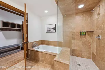 415 E Dean St, Unit 30, Week 10, Aspen, CO 81611 - Photo 20