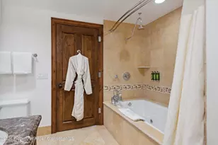 415 E Dean St Unit 30 Week 10, Aspen, CO 81611 - Photo 12