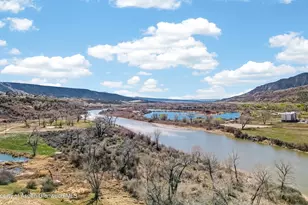 19 Co Rd 301, Parachute, CO 81635 - Photo 6