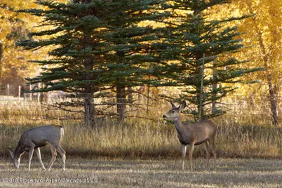 14 Old Orchard Road, Carbondale, CO 81623 - Photo 80