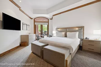 415 E Dean St, Unit 8, Week 12, Aspen, CO 81611 - Photo 16