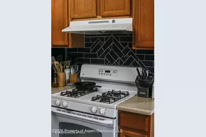 790 Castle Valley Boulevard #L, New Castle, CO 81647 - Photo 4