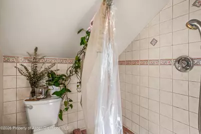 244 Redstone Boulevard, Redstone, CO 81623 - Photo 44