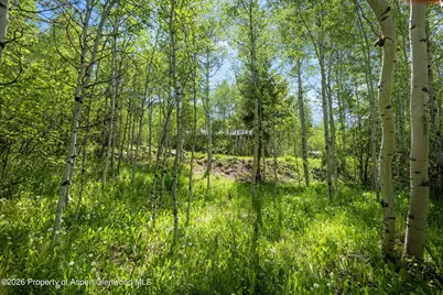 1265 Riverside Drive, Aspen, CO 81611 - Photo 10