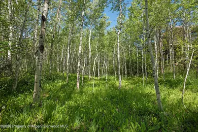 1265 Riverside Drive, Aspen, CO 81611 - Photo 8