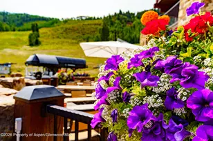 0075 Prospector Rd, Aspen, CO 81611 - Photo 28