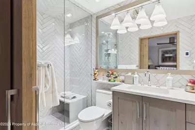 610 S West End Street #G201, Aspen, CO 81611 - Photo 14