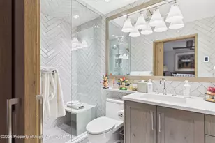 610 S West End St, Aspen, CO 81611 - Photo 14