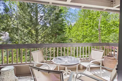 610 S West End Street #G201, Aspen, CO 81611 - Photo 16