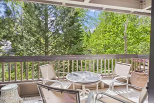 610 S West End St, Aspen, CO 81611 - Photo 16