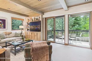610 S West End St, Aspen, CO 81611 - Photo 6