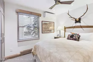 610 S West End St, Aspen, CO 81611 - Photo 14