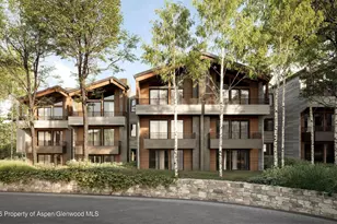 610 S West End St, Aspen, CO 81611 - Photo 28